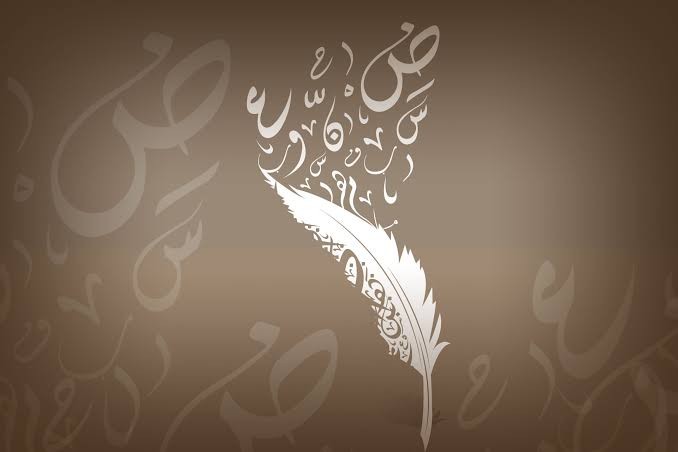 سيرةُ كلمة: كيف تتلوّنُ "السيادة" بين الثقافةِ والحرب